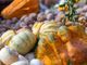 Un autunno di sapori e colori nella valle dei pittori
