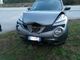 Auto investe un cervo a Pallanzeno