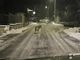 Foto: l'immmagine col lupo che si aggirava lo scorso dicembre a Druogno