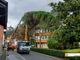 Municipio chiuso a Villa per il taglio degli alberi