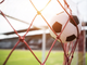 Scommesse sportive, grandi emozioni anche fuori dallo stadio