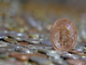 Bot per il trading di criptovalute: e se giocando potessi vincere 200.000$ in crypto? Scopri come!