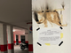 Vandalismi e degrado al parcheggio sotterraneo di via Sant'Antonio