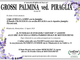 Grossi Palmina ved. Piraglia di anni 88