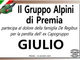 Partecipazione