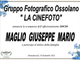 Partecipazione