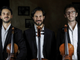 Il Trio Hegel in concerto a Domodossola  il 29 settembre