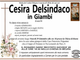 Cesira Delsindaco in Giambi di anni 84