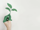 Diventa verde con i gadget ecologici per te e la tua forza lavoro / Immagine: Alena Koval / Pexels.