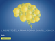 Poste italiane: nella provincia del Vco un'azienda in rosa