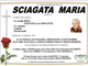 Sciagata Maria di anni 91