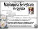 Mariannina Senestraro in Giozza di anni 85