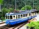 Si arricchiscono le celebrazioni per i 100 anni della Ferrovia Vigezzina-Centovalli