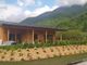 Cosasca, open day all'azienda agricola Della Piazza