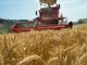 Agricoltura e formazione, il bando della Regione per le imprese in zone rurali: oltre 2 milioni di euro