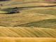 Siccità maggio 2022: la Regione chiede la segnalazione dei danni alle imprese agricole