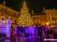 Acceso l'albero di piazza Mercato, a Domo è conto alla rovescia in attesa del Natale FOTO E VIDEO