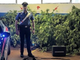 Coltivava cannabis nell'orto, denunciato dai Carabinieri