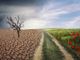 Cambiamento climatico, a fine aprile un bando della Regione da 12 milioni e mezzo di euro