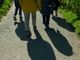 Corso gratuito di nordic walking per i soci della Federazione Anziani e Pensionati Acli