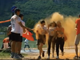 Musica, festa e colori con il Csi a Coloriamo lo sport VIDEO