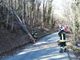 Venti interventi dei Vigili del fuoco sul territorio provinciale per il forte vento