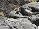 Premia investe nell’arrampicata su roccia