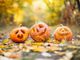 Halloween si avvicina: cosa fare in Canton Ticino nella notte più spaventosa dell'anno