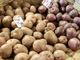 Slow Food al lavoro per creare una Comunità della patata ossolana