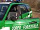 Continuano i controlli dei Carabinieri forestali, elevate sanzioni in Val Grande