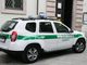 Danneggia un albero a Domodossola, denunciato
