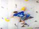 Nicolò Balducci in semifinale ai Mondiali di Arrampicata