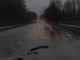 Incidente sulla SS33 tra Ornavasso e Mergozzo
