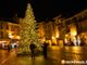 Domani il via della stagione natalizia di Domo con l’accensione dell’albero