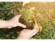 Settimana ecologica a Montecrestese con i bimbi della scuola primaria