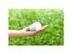 Ecolamp, nel Vco riciclate 3 tonnellate di lampadine usate