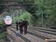 È Marco Cugnoni, consigliere comunale di Varzo, la vittima dell'investimento sulla linea ferroviaria