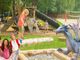 Gli &quot;animali strani&quot;, con draghi e unicorni all'Alpe Lusentino, aprono la stagione di eventi estivi per le famiglie