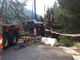 Precipita con l'auto in un dirupo, morto uomo di 83 anni