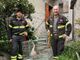 Pieve Vergonte, oca in difficoltà salvata dai Vigili del Fuoco Pieve Vergonte, oca in difficoltà salvata dai Vigili del Fuoco