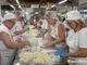 Inaugurata l'edizione 2023 della Sagra della Patata FOTO