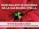 Le Stelle di Natale della ricerca arrivano in Ossola: dove acquistarle