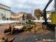 Iniziati i lavori in via Rosmini, tagliati gli alberi di fronte alla Madonna della Neve FOTO