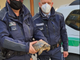 Testuggine vaga per via Castellazzo, salvata dagli agenti della Polizia Locale