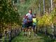 Iob e Rolando vincono l'ottava edizione del trail del Calvario FOTO