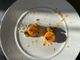 Bavarese ai cachi con castagne caramellate e crumble al cioccolato