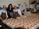 La neolaureata Benedetta Mostratisi con Paola e Cristiana Cabalà dell'Officina del Cioccolato