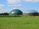 Nei pressi del depuratore Bellinzona-Locarno sorgerà una centrale a biogas