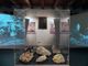 Ripartono le attività didattiche dei musei di Baveno e Mergozzo