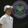 Wimbledon, il programma di oggi: da Sinner a Sonego, orari e dove vedere gli italiani